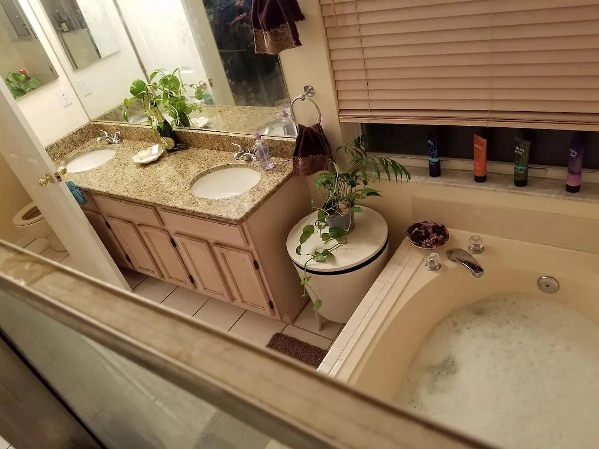 Holiday home Cozy And Conveniently Located Pool Home With Free Wifi Tampa United States