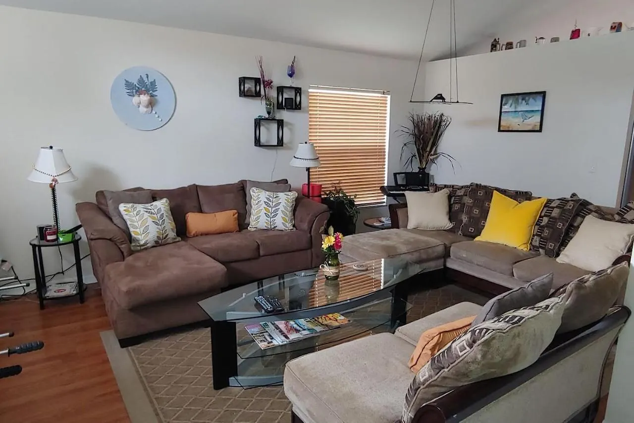 Cozy And Conveniently Located Pool Home With Free Wifi Tampa Holiday home